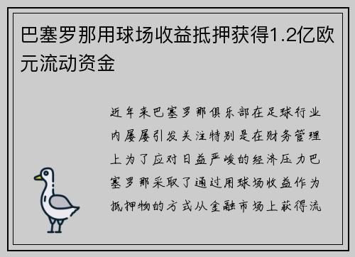 巴塞罗那用球场收益抵押获得1.2亿欧元流动资金 巴塞罗那用球场收益抵押获得1.2亿欧元流动资金